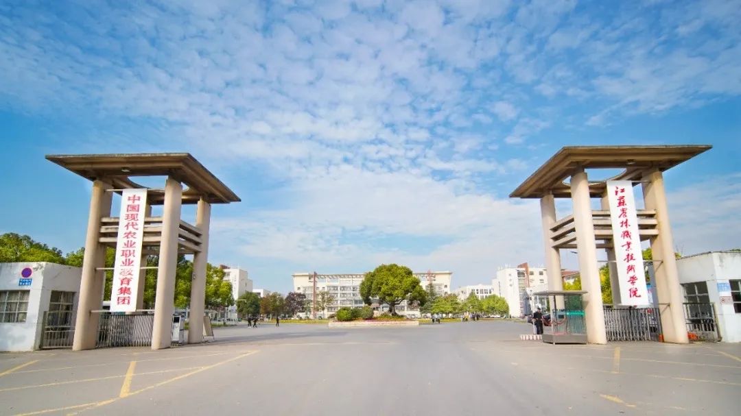 未畢業就定崗，一畢業就任教大學……這所職校的學生緣何這么牛？