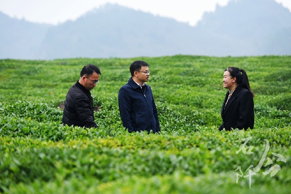 躬身為橋 緊盯供需連接山海 ——記廣東省粵黔協作工作隊銅仁工作組石阡小組組長，石阡縣委常委、副縣長李浩泉